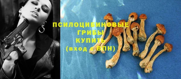 МДМА Ельня
