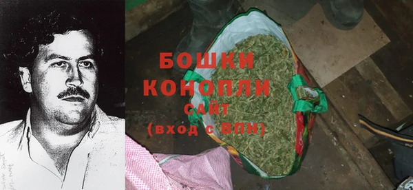 МДМА Ельня