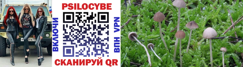 Купить  Любань  Псилоцибиновые грибы ЛСД 